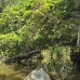 lake_mandicocha_la_v_0196_ecu0899.jpg